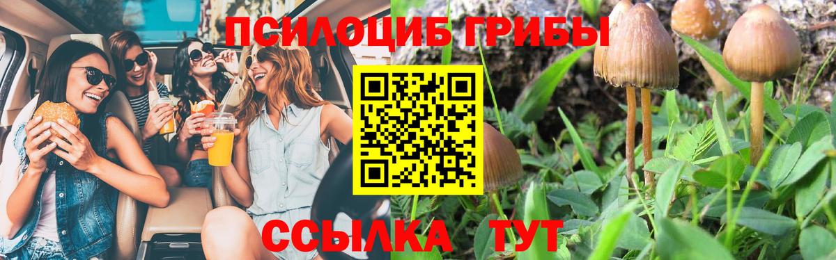 Галлюциногенные грибы Magic Shrooms Зима